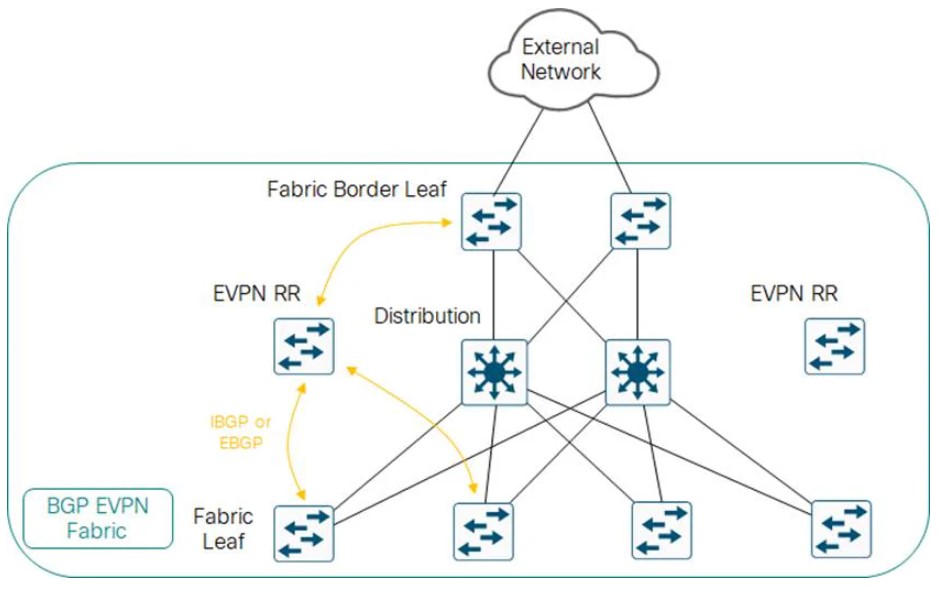 cisco-campus-bgp-evpn-vxlan